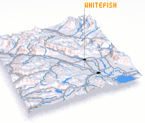 3d view of Whitefish