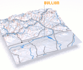 3d view of Bullion