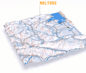 3d view of Meltons