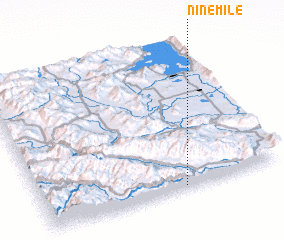 3d view of Ninemile