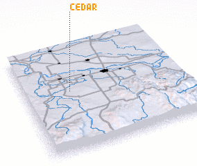 3d view of Cedar