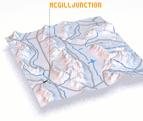 3d view of McGill Junction