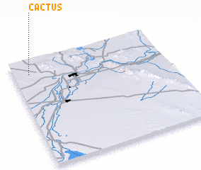 3d view of Cactus