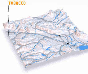 3d view of Tobacco