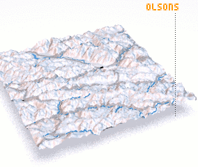 3d view of Olsons