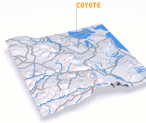 3d view of Coyote