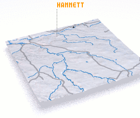 3d view of Hammett