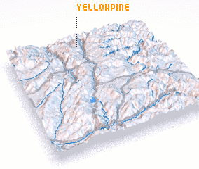 3d view of Yellow Pine