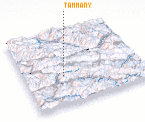 3d view of Tammany