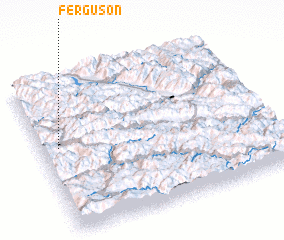 3d view of Ferguson