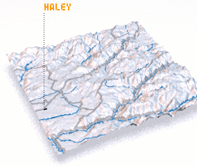 3d view of Haley