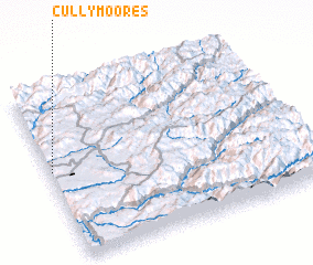 3d view of Cully Moores