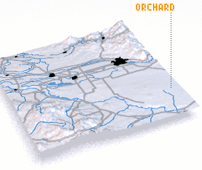 3d view of Orchard