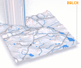 3d view of Balch