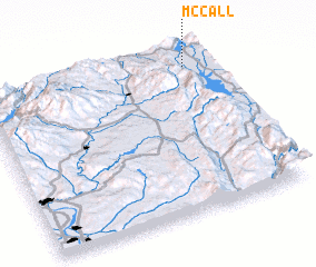 3d view of McCall