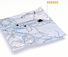 3d view of Barber