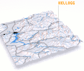 3d view of Kellogg