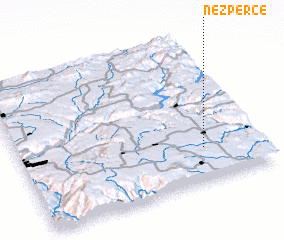 3d view of Nezperce