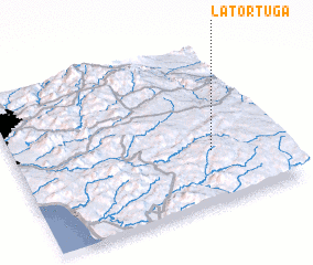 3d view of La Tortuga