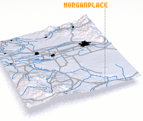 3d view of Morgan Place