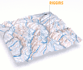 3d view of Riggins