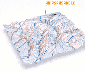 3d view of Whipsaw Saddle