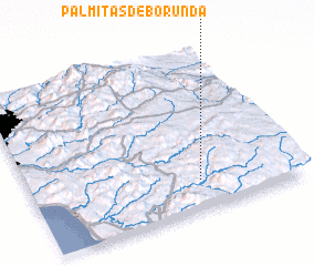 3d view of Palmitas de Borunda