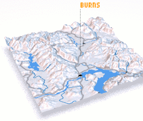 3d view of Burns