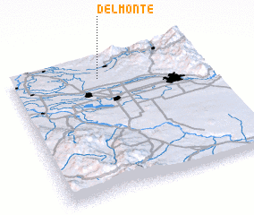 3d view of Del Monte