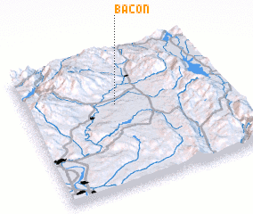 3d view of Bacon