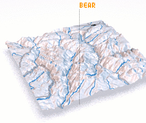 3d view of Bear
