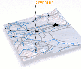 3d view of Reynolds