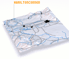 3d view of Hamilton Corner