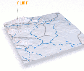 3d view of Flint