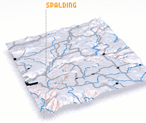 3d view of Spalding