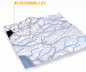 3d view of Blossom Valley