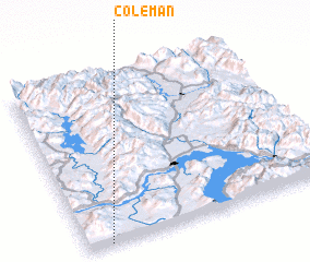 3d view of Coleman