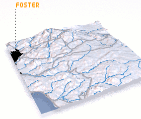 3d view of Foster