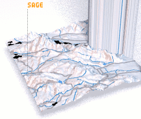 3d view of Sage