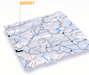 3d view of Gurney