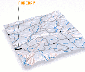 3d view of Forebay