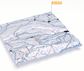 3d view of Ringo