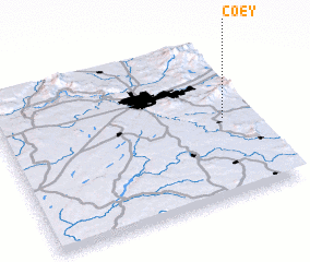 3d view of Coey