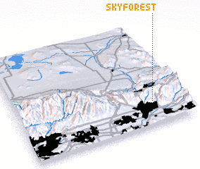 3d view of Skyforest