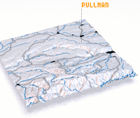 3d view of Pullman