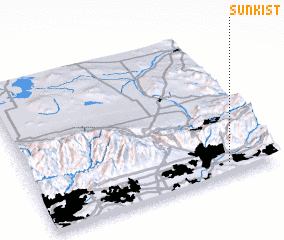 3d view of Sunkist