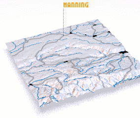 3d view of Manning