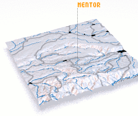 3d view of Mentor