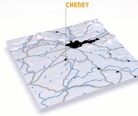 3d view of Cheney