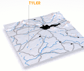 3d view of Tyler